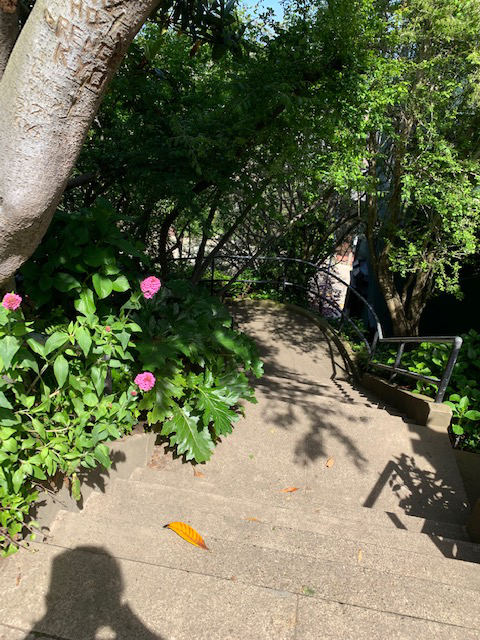 Vallejo Stairway Garden