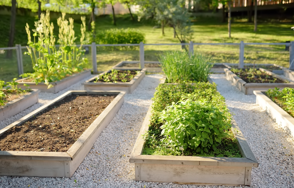 Talk to Pari Livermore About Adding A Community Garden in Your Area