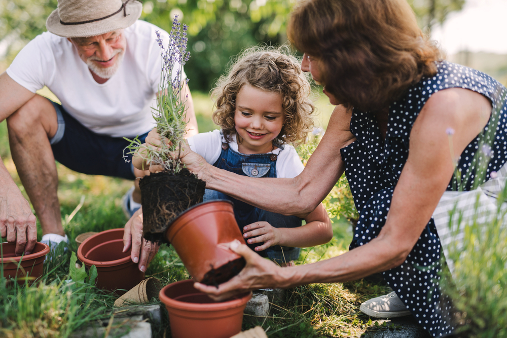 The Importance Of Community Gardens in Urban Areas