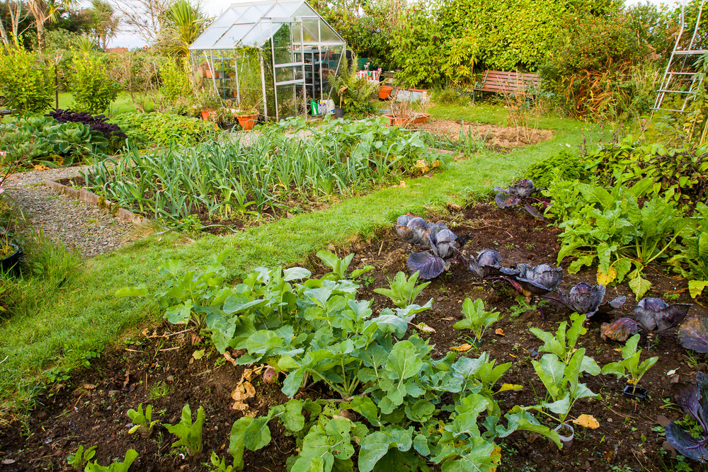 Inclusive Community Gardens