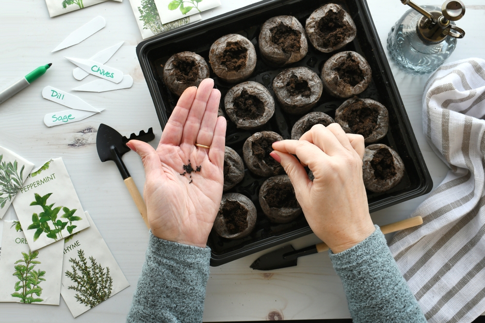 Tips for Growing Flavorful Herbs