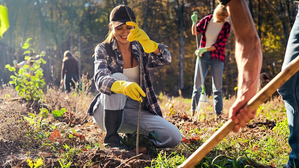 Sustainable Gardening Practices for Community Gardens